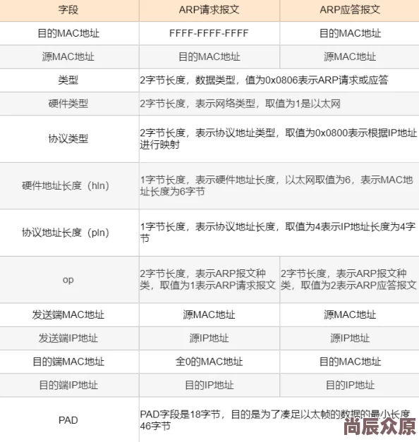 揭秘《我的世界》迷宫破坏者：作用详解与使用技巧全面分享