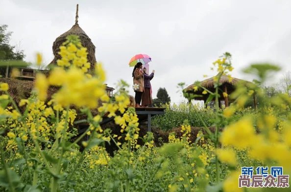 美好时节春暖花开，乡村旅游火热开启，新鲜采摘体验吸引大量游客