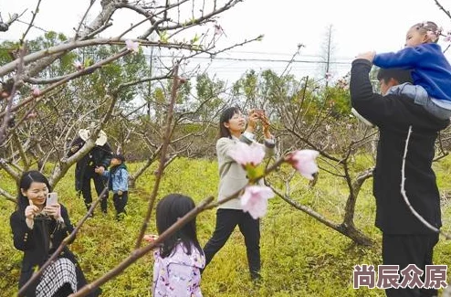 美好时节春暖花开，乡村旅游火热开启，新鲜采摘体验吸引大量游客