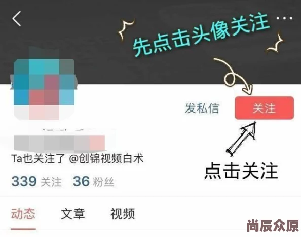 热门解析：为谁而炼金英灵高效培养策略与最新养成方法