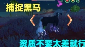 2024热门攻略：创造与魔法高效抓捕黑马，必备小麦蓝莲鲍鱼饲料技巧